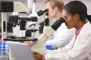 Scientists Using Microscopes In Laboratory