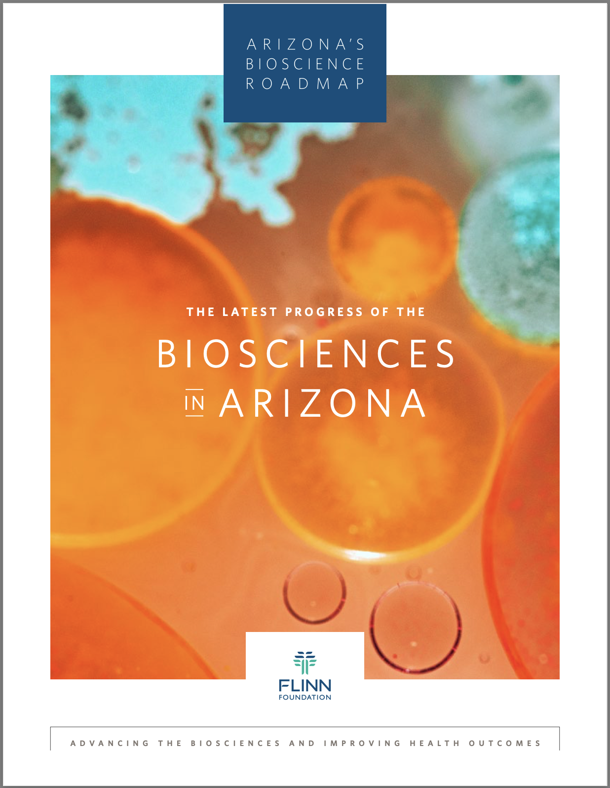 2022 Progress Report Flinn Foundation